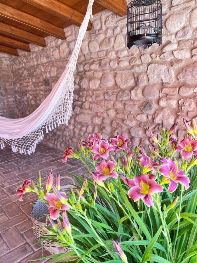 Le Mansarine Charme B&B Castellaro (Lombardy) Exterior foto