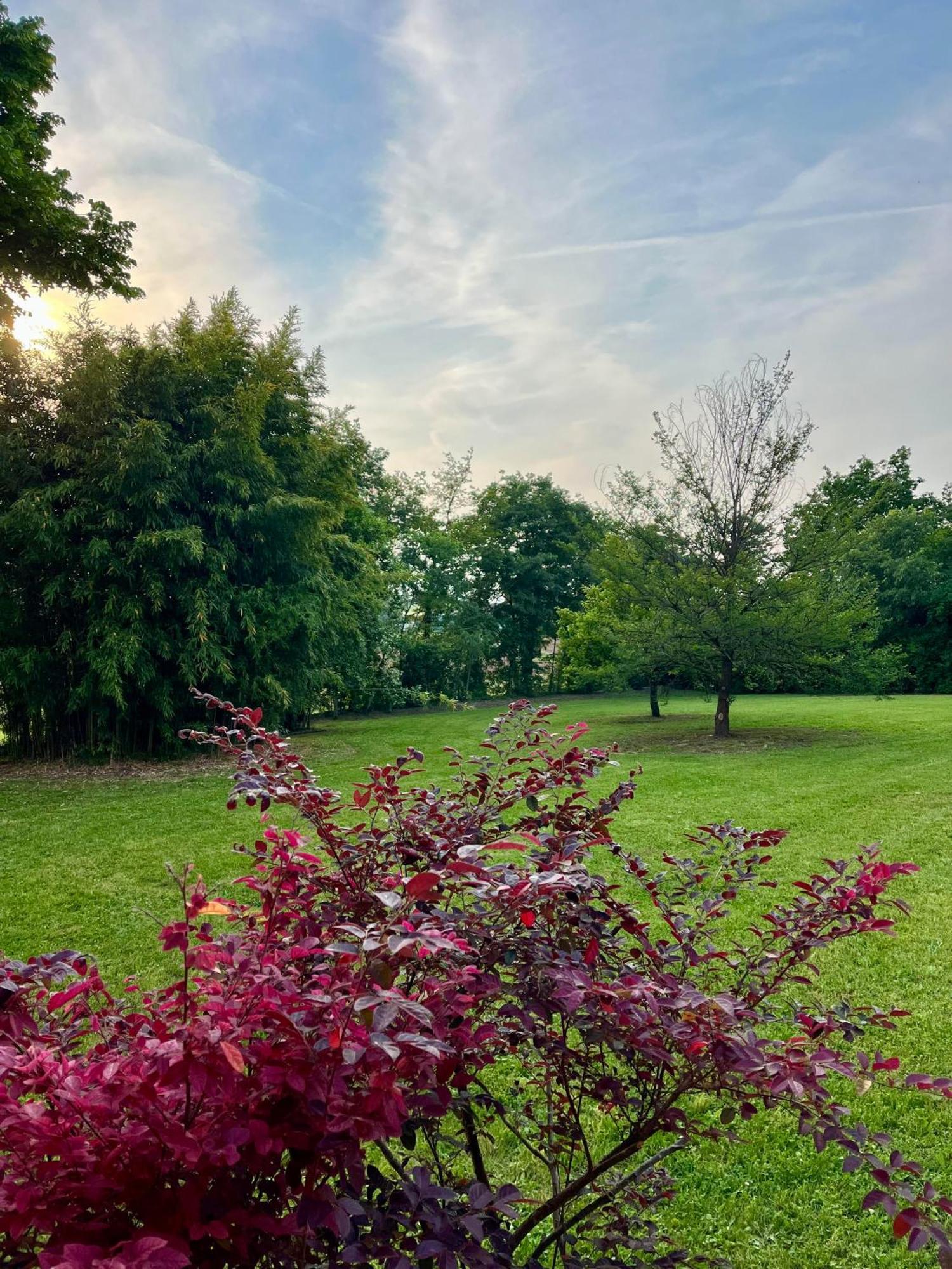Le Mansarine Charme B&B Castellaro (Lombardy) Exterior foto
